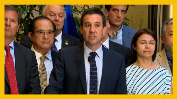 290125C17 DECLARACIONES DIPUTADOS CHILE VAMOS 16