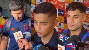 290125DEP01 DECLARACIONES UNIVERSIDAD DE CHILE 20