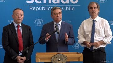 300125C01 DECLARACIONES SENADORES COLOMA-CRUZ-COKE Y GARCÍA RUMINOT 13