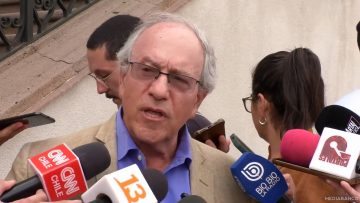 31012513 DECLARACIONES TOMAS HIRSCH 3