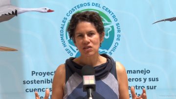 01022502 DECLARACIONES MINISTRA MAISA ROJAS 01