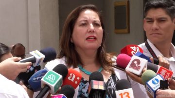 04022506 DECLARACIONES SENADORA PAULINA VODANOVIC 01