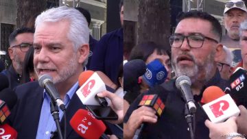 25022506 DECLARACIONES ANEF Y CUT 11