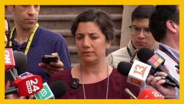 26022515 DECLARACIONES MINISTRA VOCERA DE GOBIERNO DEST