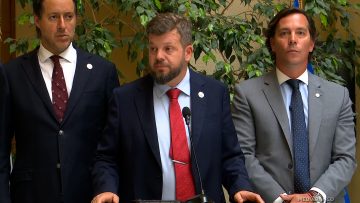 050325C02 DECLARACIONES DIPUTADOS KAISER Y LABBBE 11