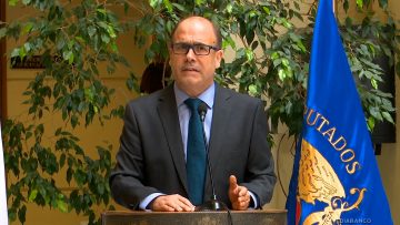 050325C06 DECLARACIONES DIPUTADO ALBERTO UNDURRAGA 06