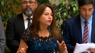 050325C07 DECLARACIONES DIPUTADOS JOANNA PÉREZ Y MIGUEL ANGEL CALISTO 11