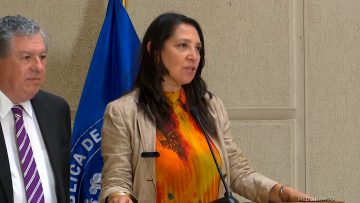 050325C09 DECLARACIONES SUBSECRETARIO PREVISION SOIAL Y MINISTRA SEGPRES 10