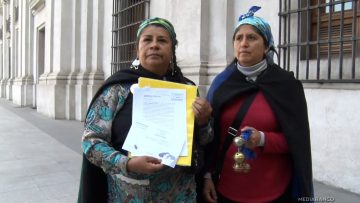 07032502 COMUNIDAD MAPUCHE EENTREGA CARTA AL PRESIDENTE BORIC 11