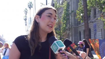 08032508 DECLARACIONES DIPUTADA EMILIA SCHNEIDER 05