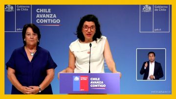 10032513 VOCERÍA DE GOBIERNO POR RENUNCIA DE MAYA FERNÁNDEZ 01 DESTACADA