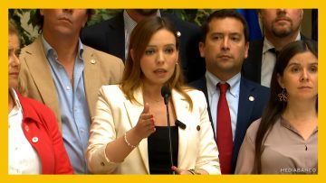 100325C05 DIPUTADOS OPOSICION POR AC A MAYA FERNANDEZ 01