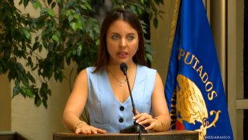 100325C06 DECLARACIONES DIPUTADA MUSANTE 01