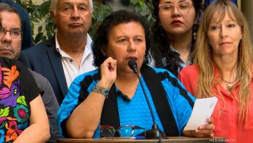 100325C11 DECLARACIONES DIPUTADA LORENA PIZARRO 01