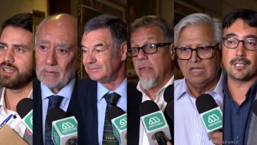 10325C01 PARLAMENTARIOS POR CONTIGENCIA 20