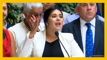 110325C02 DECLARACIONES DIPUTADA KAROL CARIOLA 01 DESTACADA