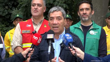 15032513 DELEGADO PRESIDENCIAL RM POR INCENDIOS FORESTALES 01