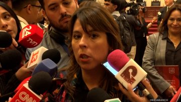 17032514 DECLARACIONES CONSTANZA MARTÍNEZ 01 (1)