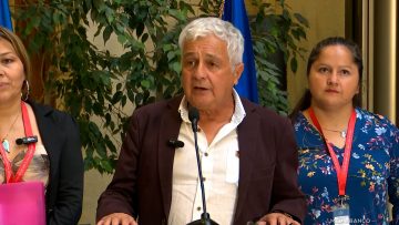 170325C012 DECLARACIONES DIPUTADO PALMA 01