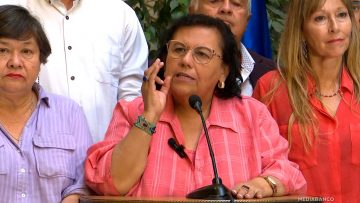 170325C014 DECLARACIONES DIPUTADOS CUELLO Y PIZARRO 01