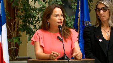 180325C01 DIPUTADA PEREZ POR DICHOS DE MINISTRO VALENZUELA 01