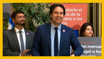 180325C07 VLADO MIROSEVIC POR LEGALIZACIÓN DE CANNABIS DESTACADA
