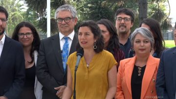 200325 14 VOCERA DE GOBIERNO POR CASO SUBSECRETARIO SALGADO 04