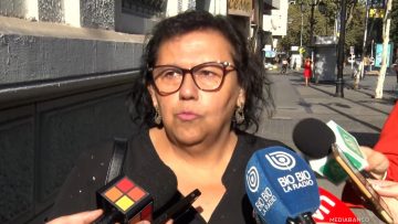 22032503 DECLARACIONES DIPUTADA LORENA PIZARRO 01