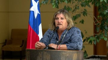 240325C04 DECLARACIONES DIPUTADA GLORIA NAVEILLAN 01 (1)