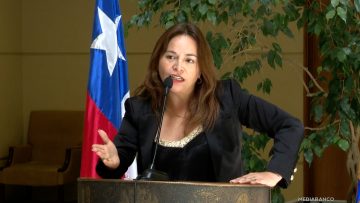 240325C06 DECLARACIONES DIPUTADA JOHANA PÉREZ 01 (1)