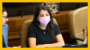 260325C14 APOYO DIPUTADA VELOSO EN LA SALA DE LA CAMARA DE DIPUTADOS 08