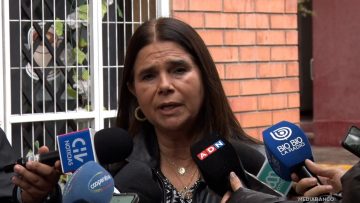 30032508 DECLARACIONES XIMENA OSSANDÓN 01