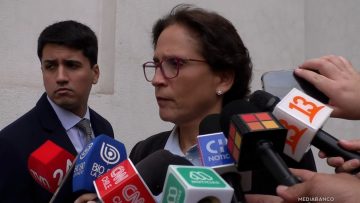 31032507 DECLARACIONES CAROLINA LEITAO 01 (1)