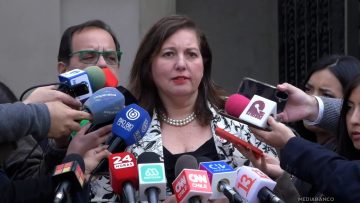 31032514 DECLARACIONES PAULINA VODANOVIC 05