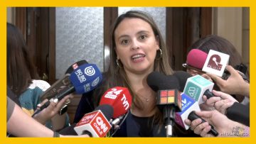 31032515 DECLARACIONES PAMELA VALDÉS 07