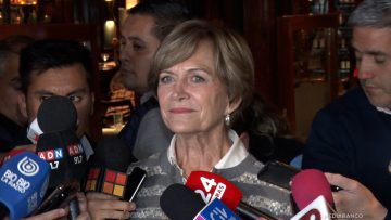 31032529 DECLARACIONES EVELYN MATTHEI 01