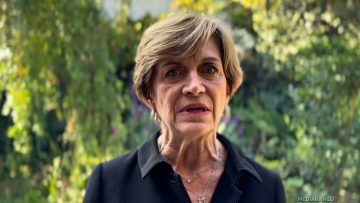 03042514 EVELYN MATTHEI POR HOMICIDIOS 06