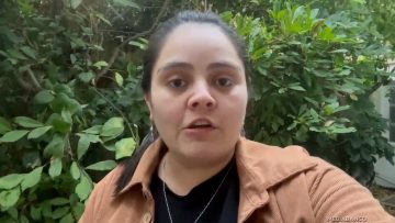 03042522 DIPUTADA CONCHA POR FALLO TC 05