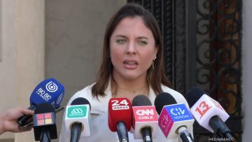 040425013 DECLARACIONES DIPUTADA MUSANTE01 (1)