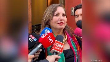 04042514 DECLARACIONES PAULINA VODANOVIC 01