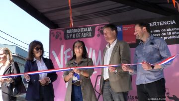 05042510 FIESTA DE LA VENDIMIA EN BARRIO ITALIA 01