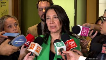 080425C02 MINISTRA MACARENA LOBOS 01