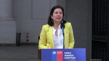 09042517 VOCERÍA MINISTRA AISEN ETCHEVERRY 01