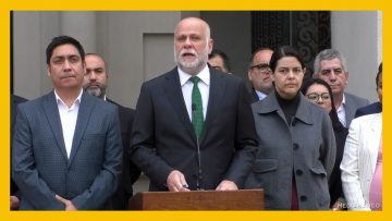 10042503 DECLARACIONES MINISTRO ELIZALDE DEST