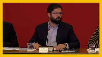 11042501 PRESIDENTE BORIC EN CONSEJO DE GABINETE 07