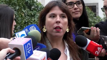 11042512 DECLARACIONES CONSTANZA MARTÍNEZ 01