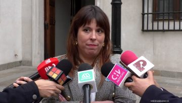 11042514 DECLARACIONES CONSTANZA MARTÍNEZ 01 (1)