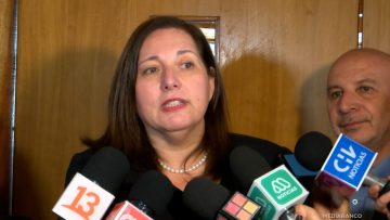 150425C01 DECLARACIONES SENADORA PAULINA VODANOVIC 01