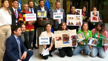 160425C04 DIPUTADOS POR MALTRATO ANIMAL 01
