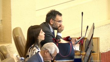 160425C10 APOYOS TOMAS DE REMENTERIA EN SALA DE CONGRESO 01 (1)